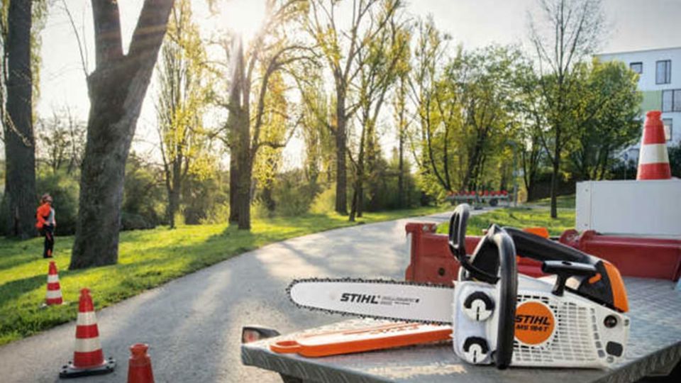 STIHL MS 194