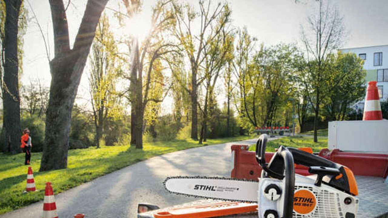 STIHL MS 194