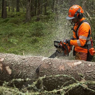 Kettensägen