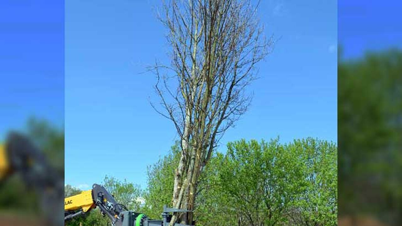 Heizogreif HG 100