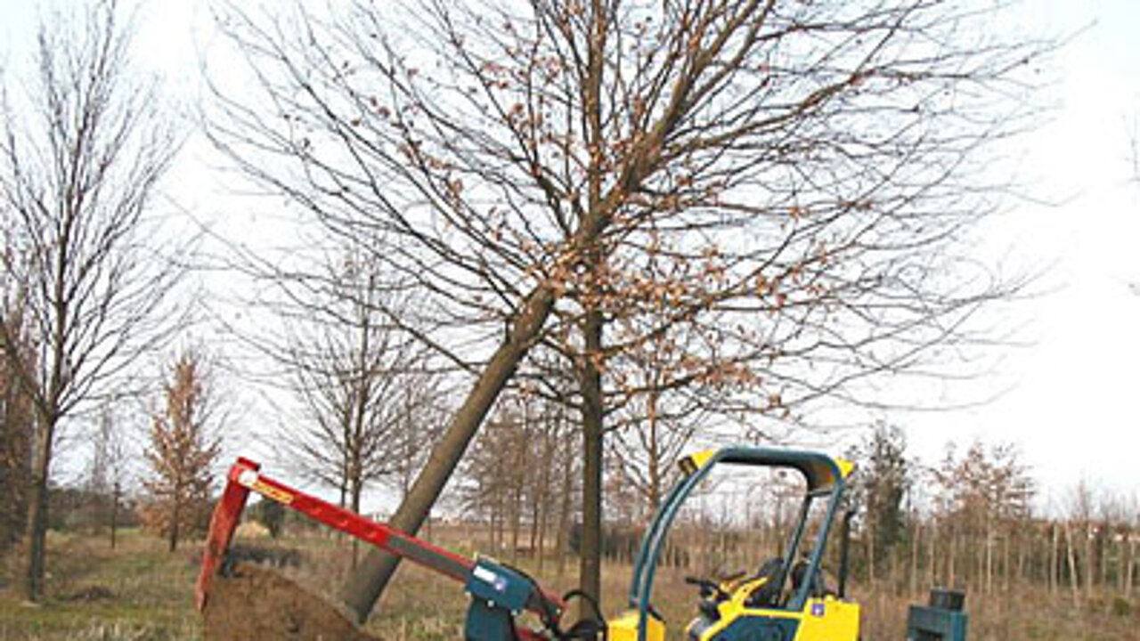 Baumschulkran