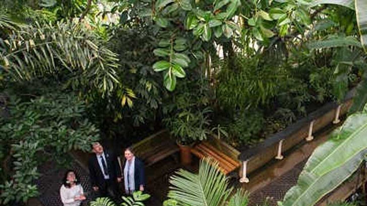 Royal Botanic Gardens