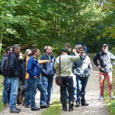 Waldbesucher