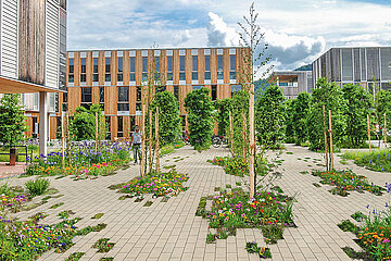 Vegetationsfläche im Systemverbund