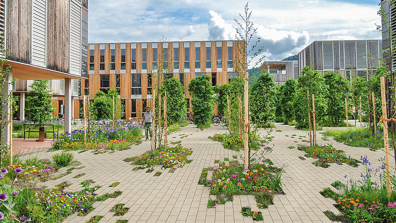 Vegetationsfläche im Systemverbund