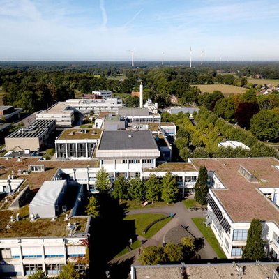 begrünte Dächer
