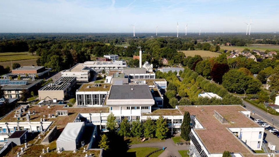 begrünte Dächer