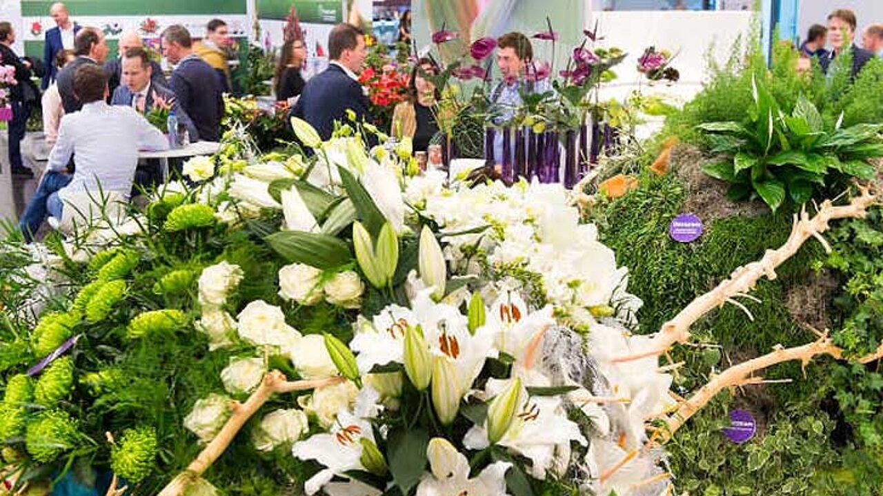 IPM ESSEN 2016