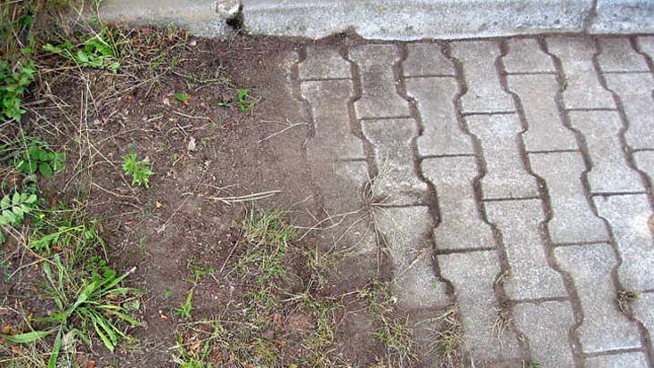 image-6911
