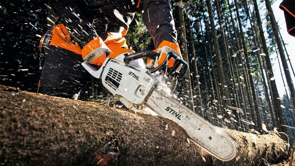STIHL MS 201: Die kleinste Profi-Motorsäge im Forsteinsatz