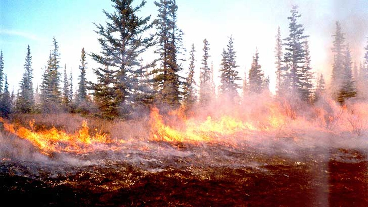 Waldbrand