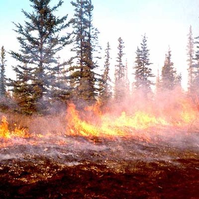 Waldbrand