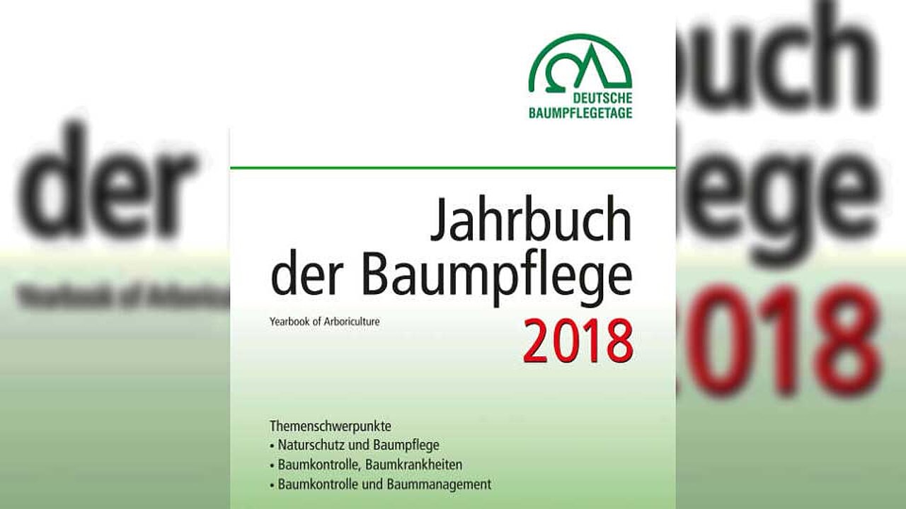 Baumpflege 2018