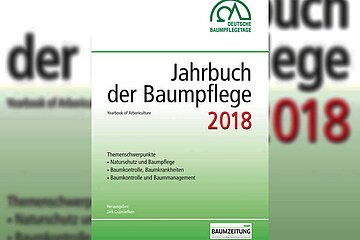 Baumpflege 2018