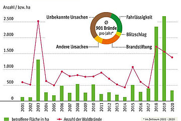 Waldbrandfläche