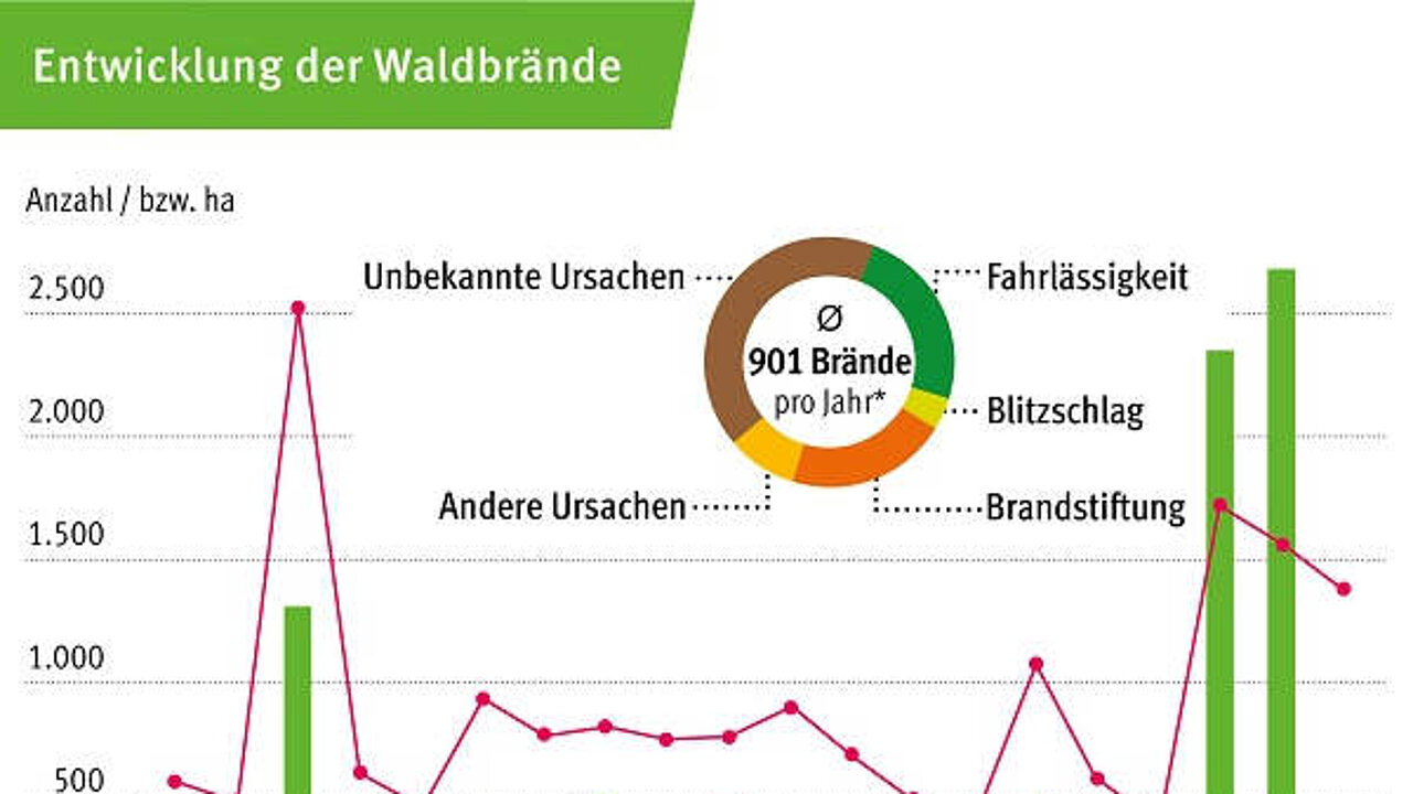Waldbrandfläche