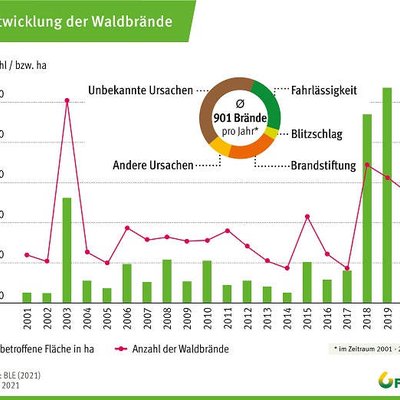 Waldbrandfläche