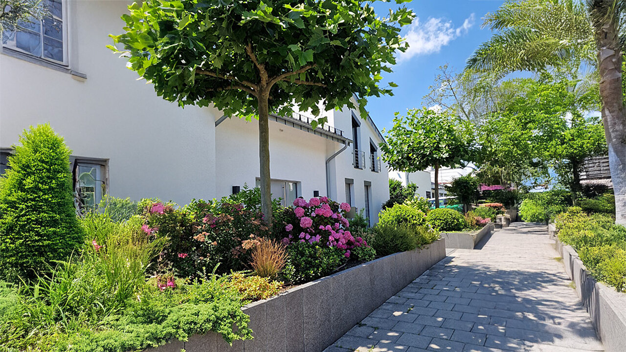Schatten im Garten