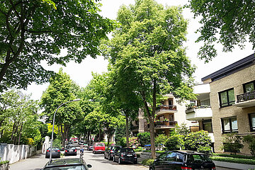 Bepflanzten Bereiche