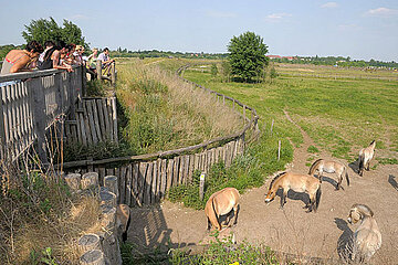 Döberitzer Heide