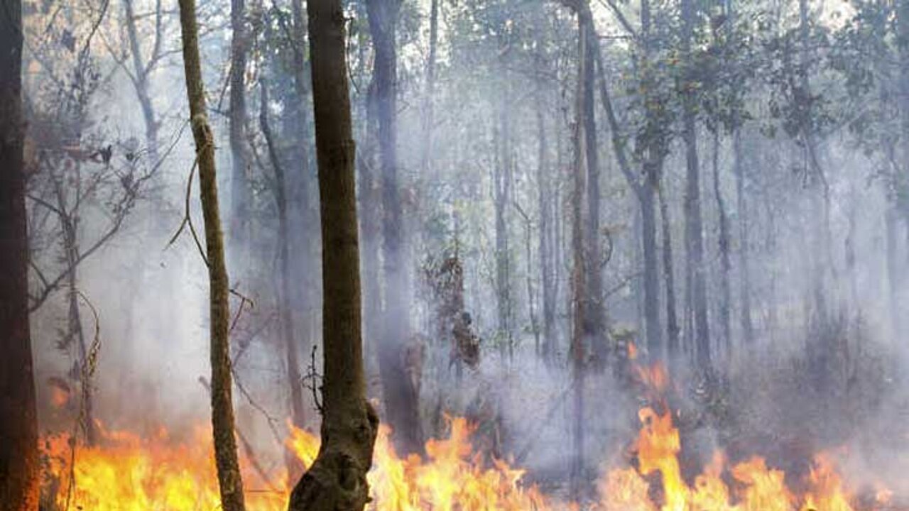 Waldbrand