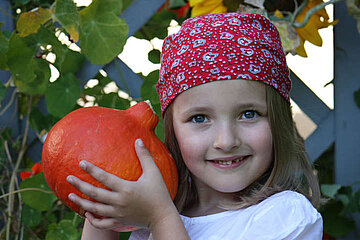 Image-13025