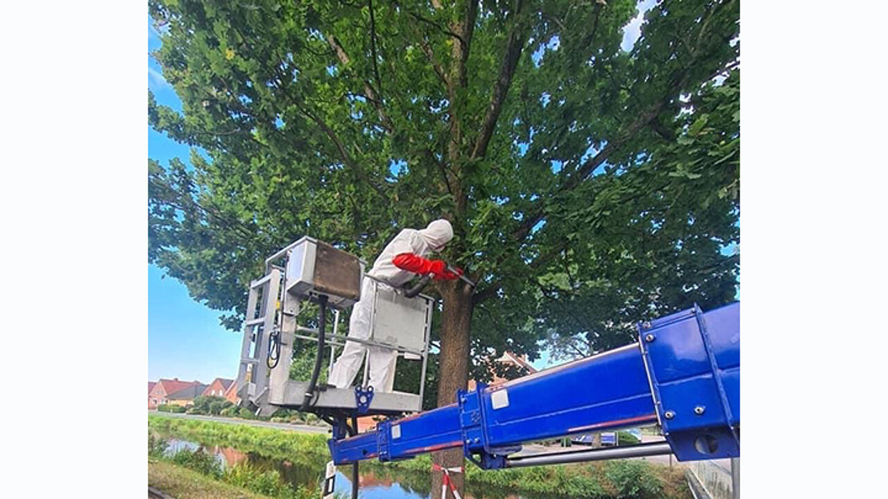 Absaugen