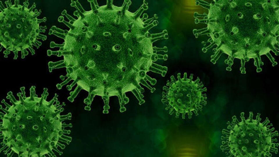Corona-Virus