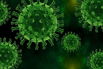 Corona-Virus