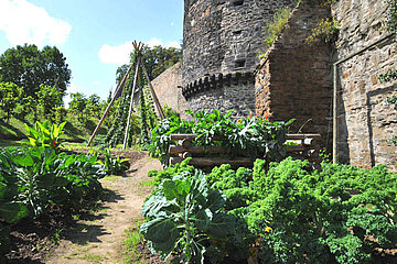 Image-13181