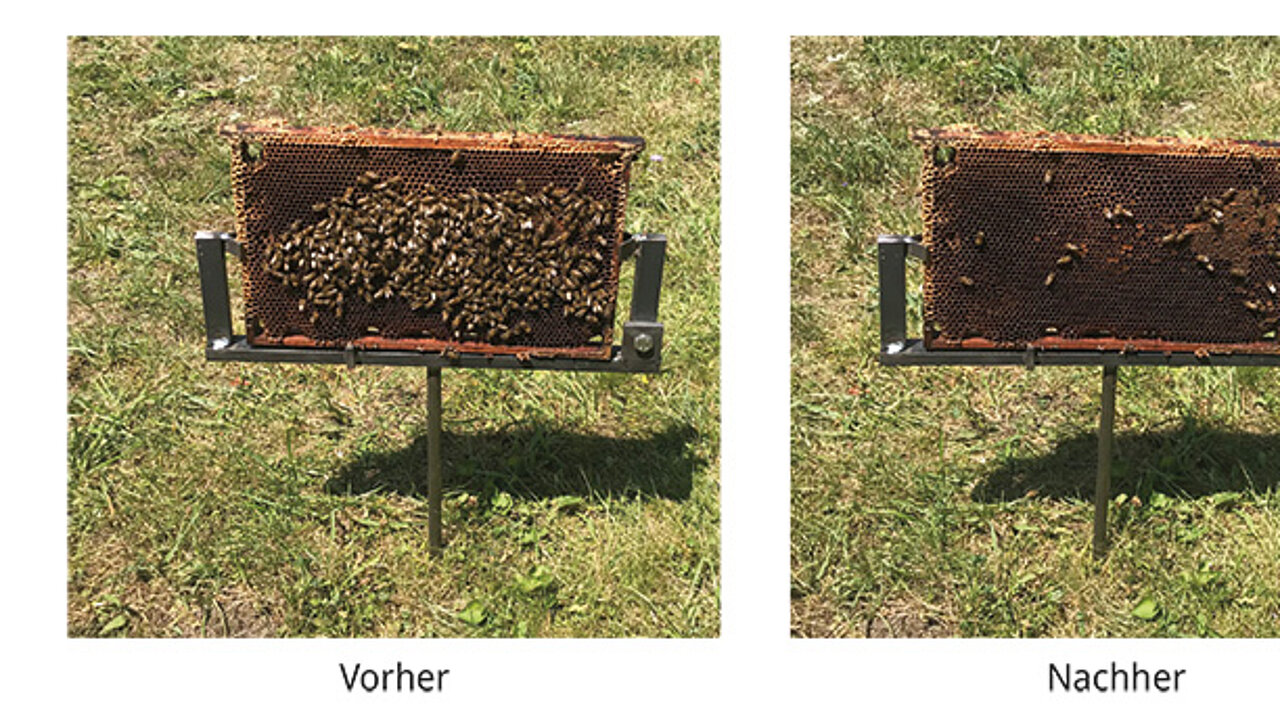 EcoCut-System