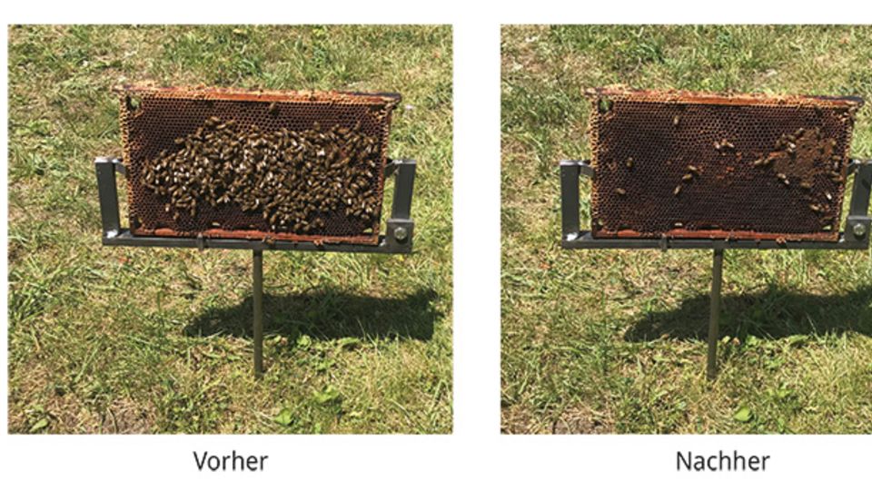 EcoCut-System