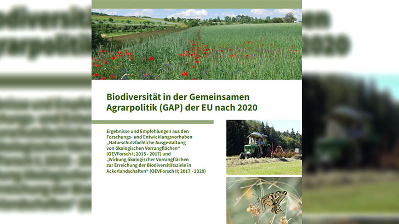 Biodiversität
