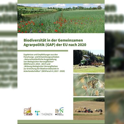 Biodiversität