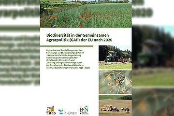 Biodiversität