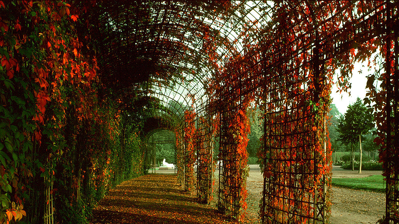 Schlossgarten Schwetzingen