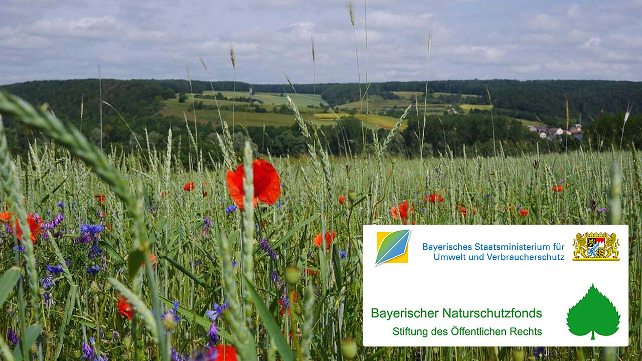 Naturschutzfonds Bayern