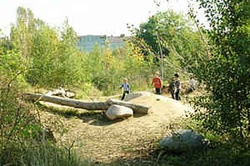Image-6248