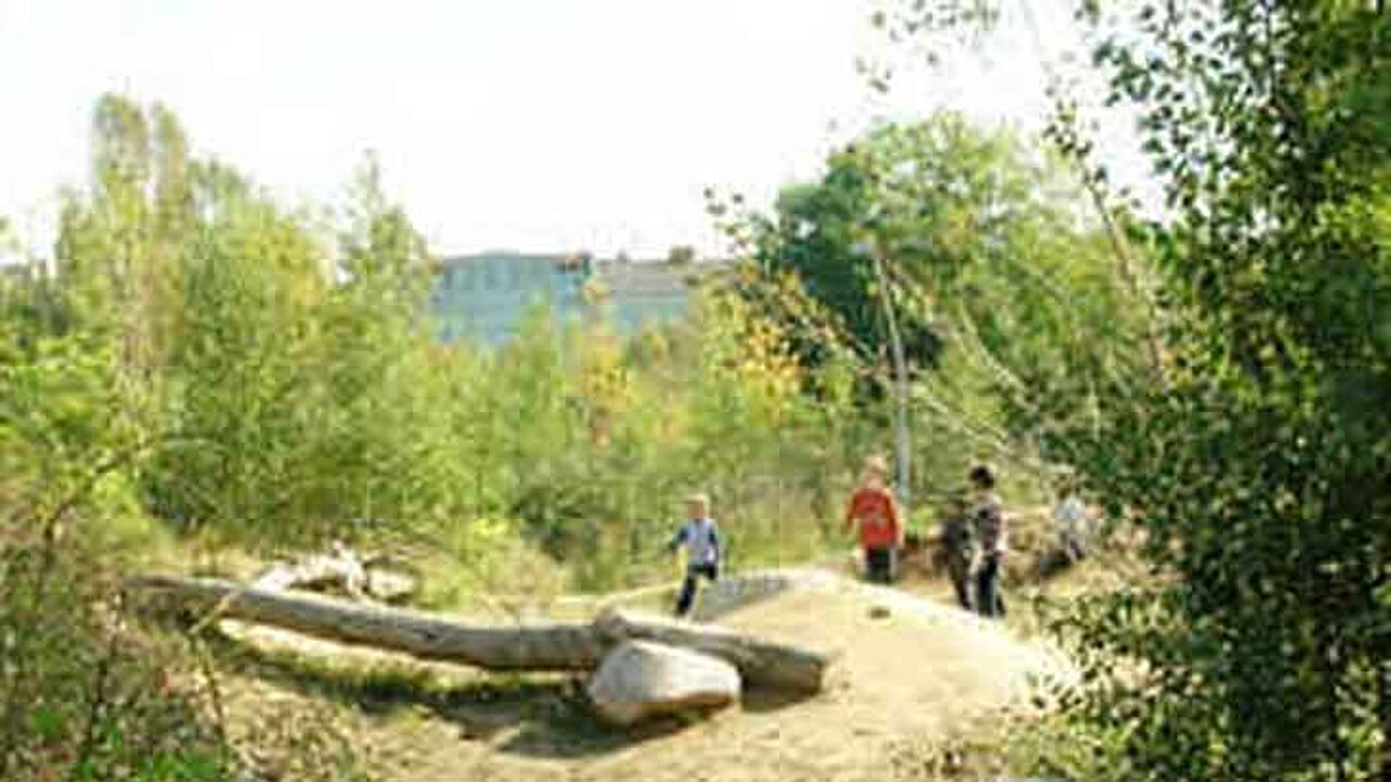 image-6248