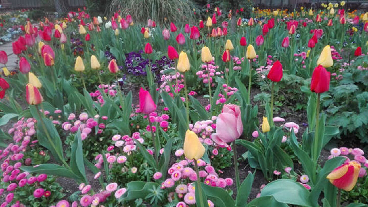 Botanischen Garten Karlsruhe