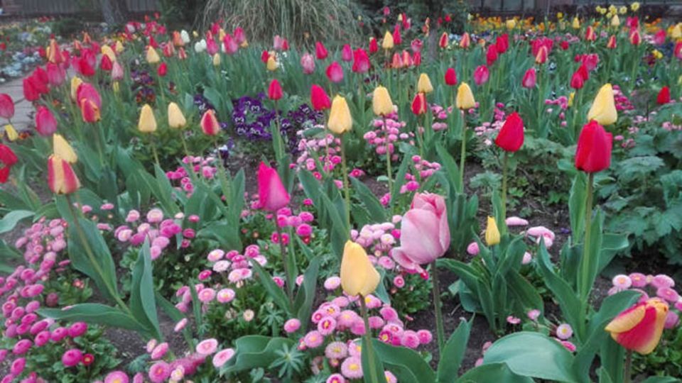 Botanischen Garten Karlsruhe