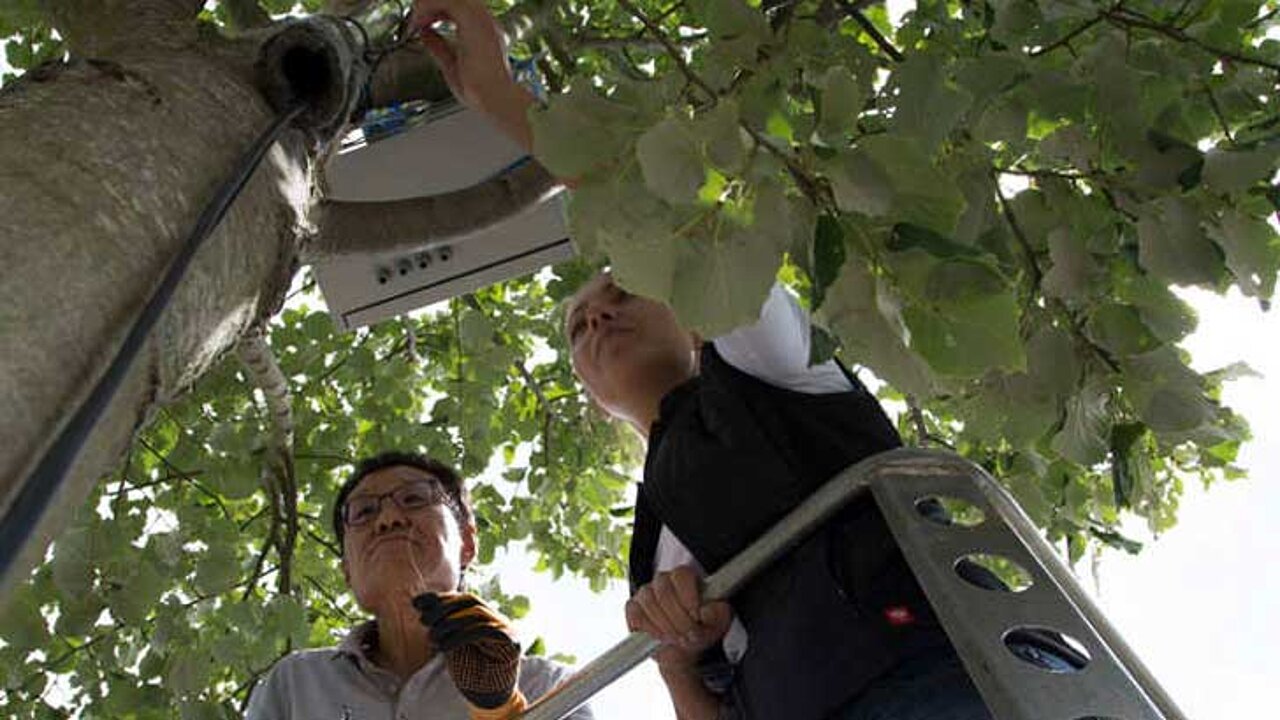 image-8165