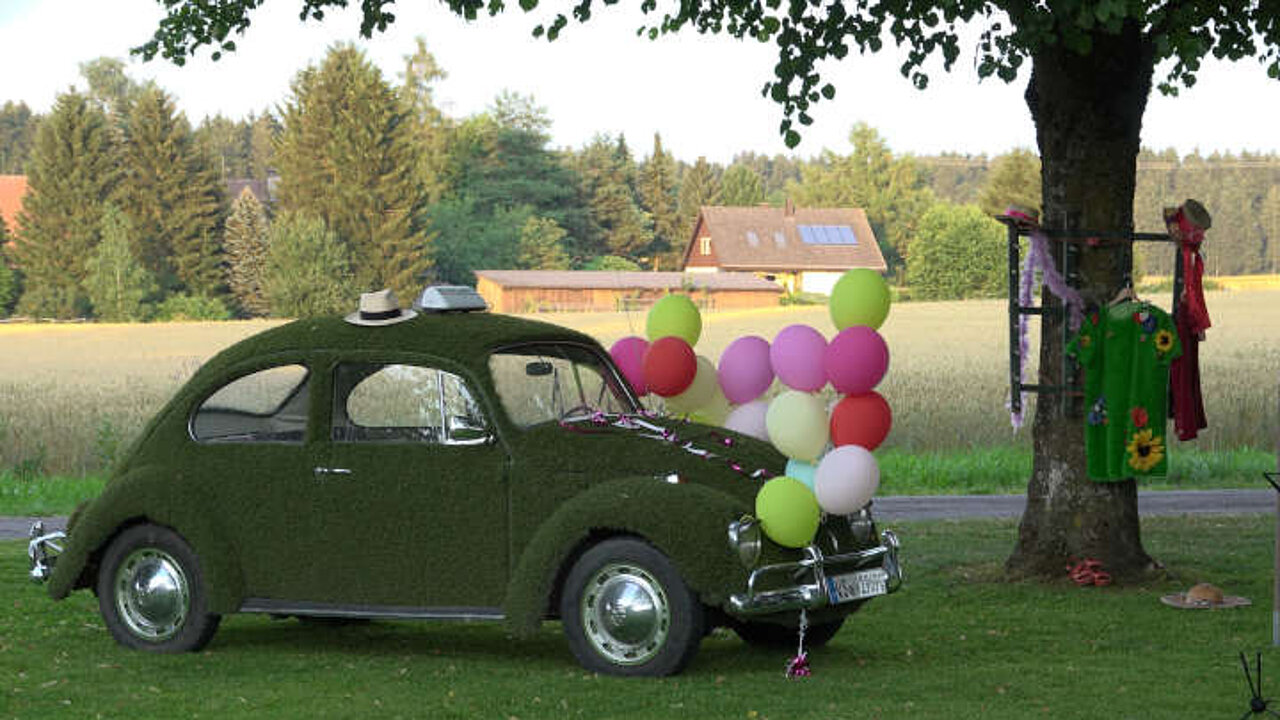 VW Käfer