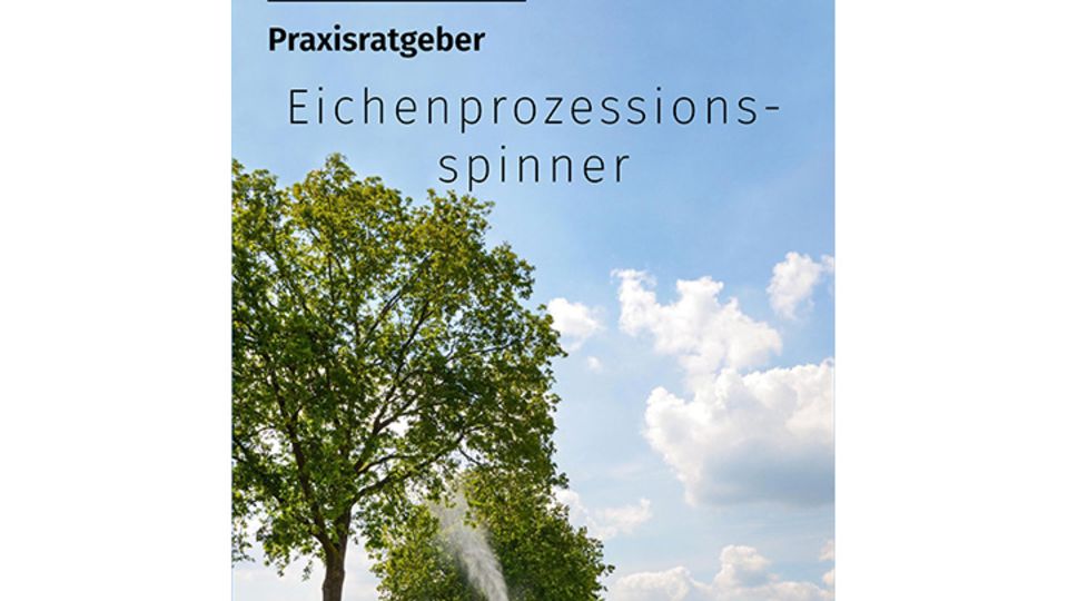 Praxisratgeber