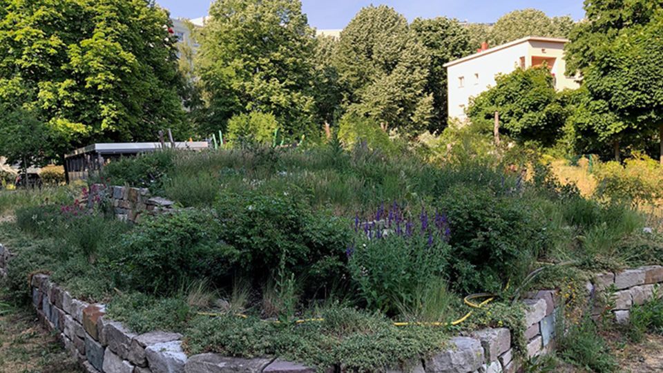 Prämierter Naturgarten