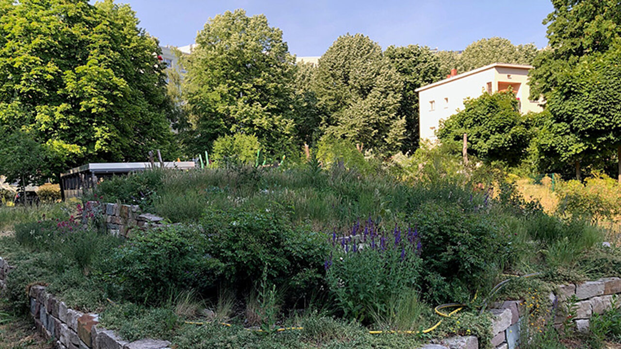 Prämierter Naturgarten