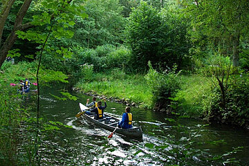 Flussnatur