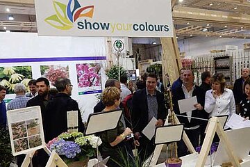 Show Your Colours Award