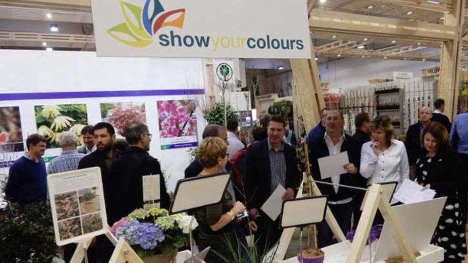 Show Your Colours Award