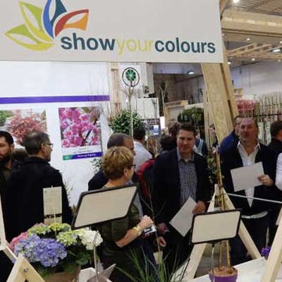 Show Your Colours Award